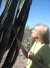 Markow standing next to a cactus and inspecting it