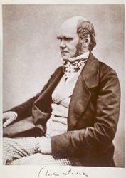Old, sepia photo of Charles Darwin turned to the side, sitting in a chair.
