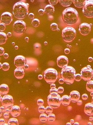 Photo of bubbles in champagne